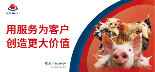 中国电子游艺网站下载安装
