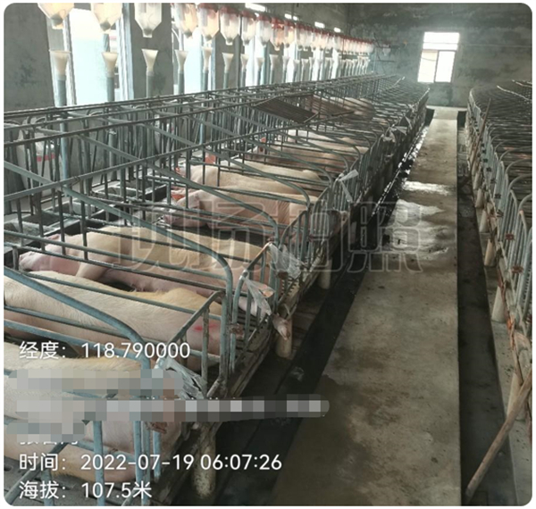 中国电子游艺网站下载安装
