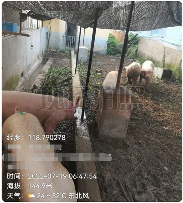 中国电子游艺网站下载安装
