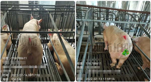 中国电子游艺网站下载安装

