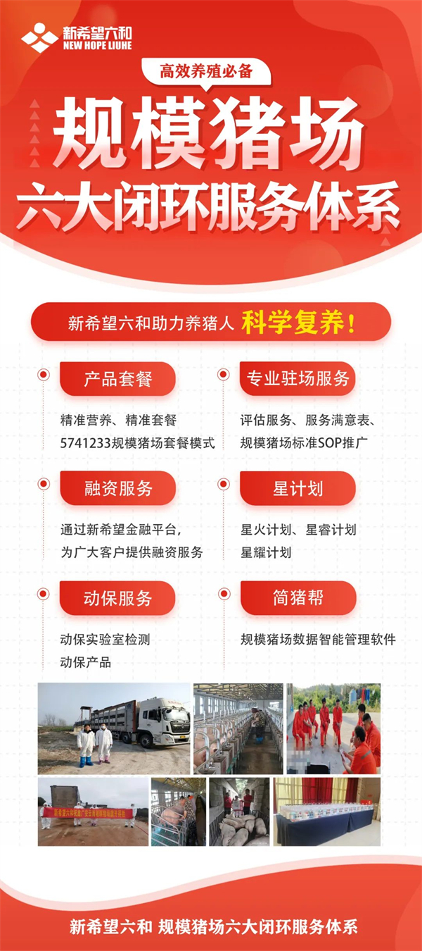 中国电子游艺网站下载安装
