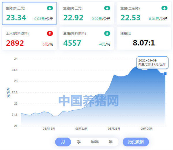 中国电子游艺网站下载安装