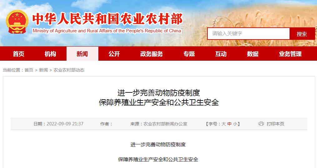 中国电子游艺网站下载安装
