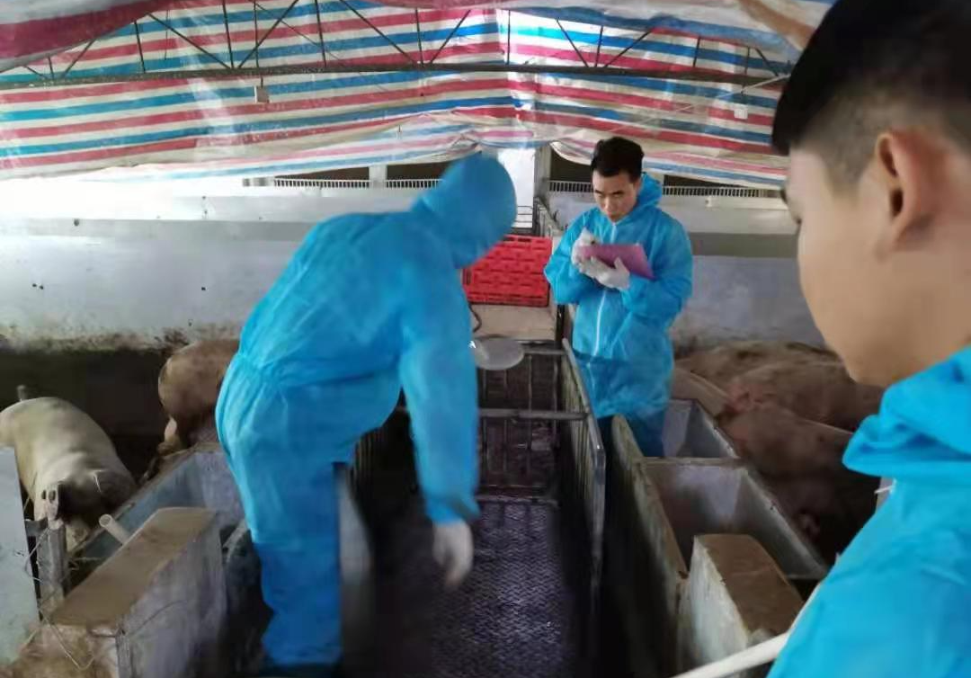 中国电子游艺网站下载安装
