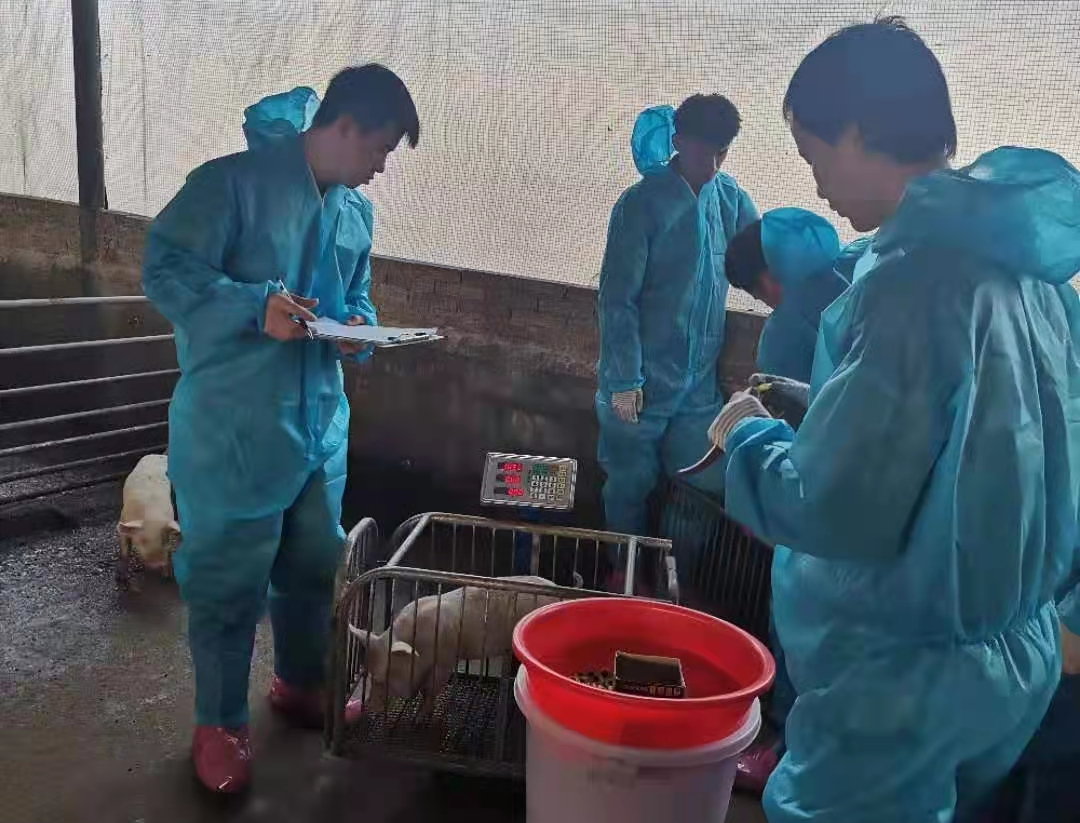 中国电子游艺网站下载安装
