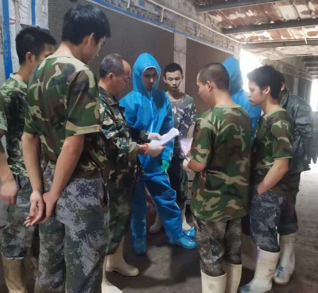 中国电子游艺网站下载安装
