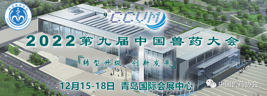 中国电子游艺网站下载安装
