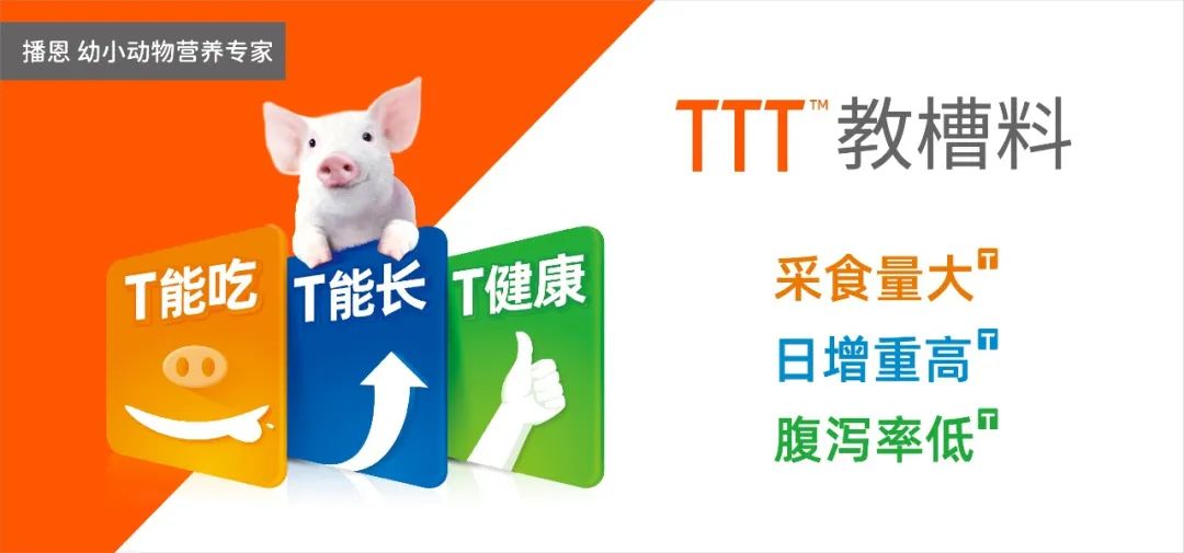 中国电子游艺网站下载安装

