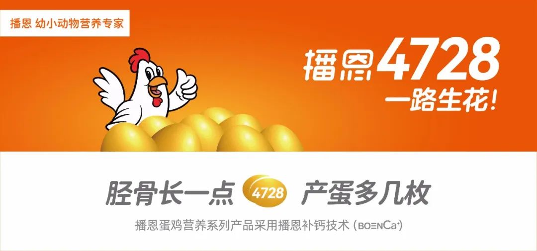 中国电子游艺网站下载安装
