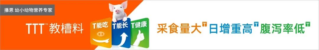 中国电子游艺网站下载安装
