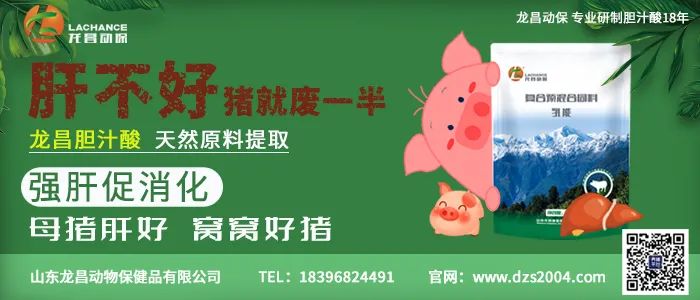 中国电子游艺网站下载安装
