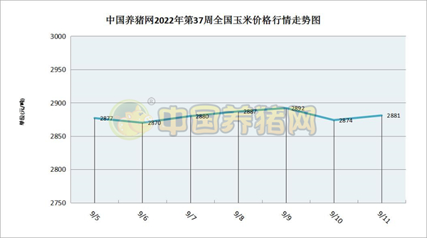 中国电子游艺网站下载安装