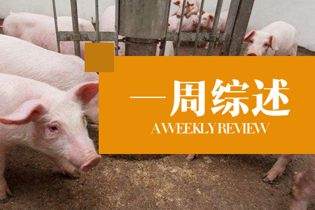 要跌破7元？年后猪价大幅降温，养殖端顺势出栏现象居多！（第7周综述）