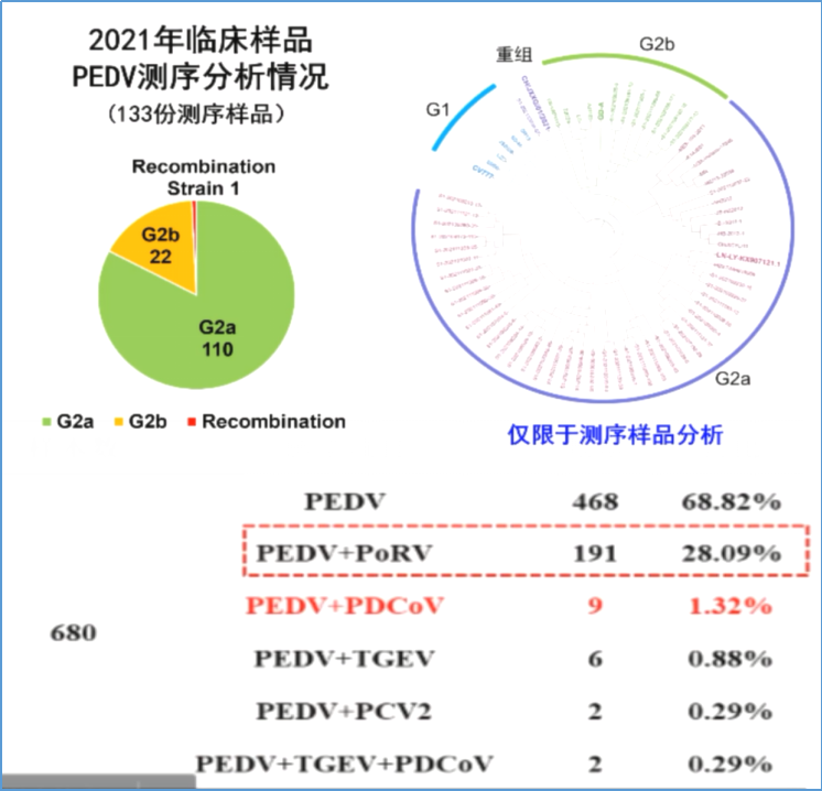 中国电子游艺网站下载安装
