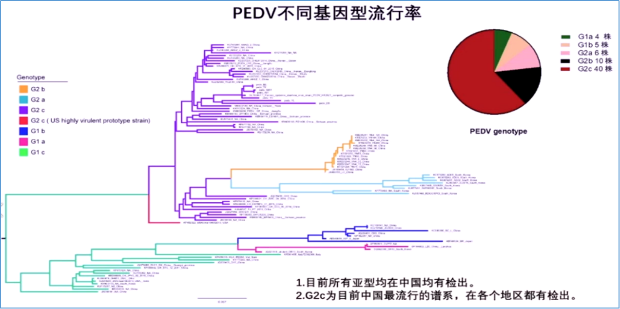 中国电子游艺网站下载安装

