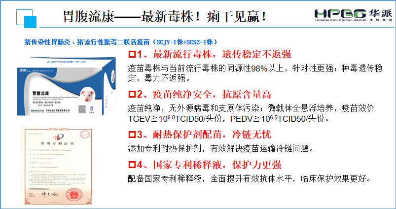 中国电子游艺网站下载安装
