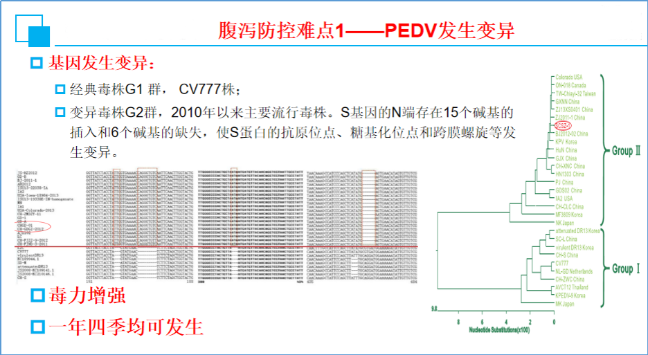 中国电子游艺网站下载安装

