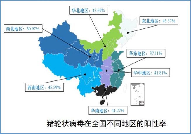 中国电子游艺网站下载安装
