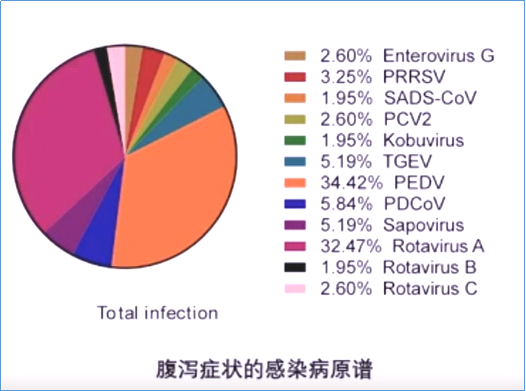 中国电子游艺网站下载安装
