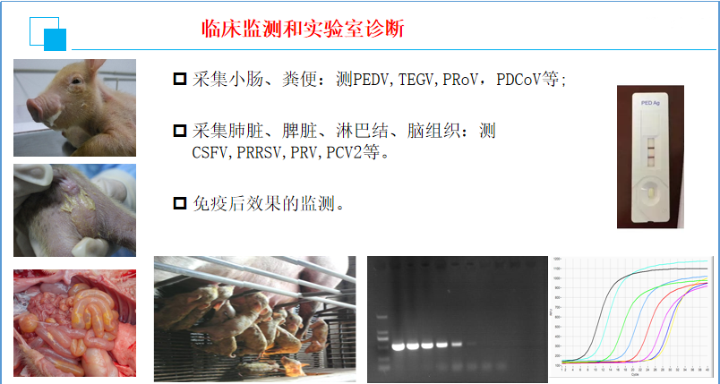 中国电子游艺网站下载安装
