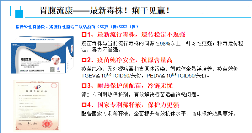 中国电子游艺网站下载安装

