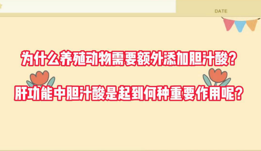 为什么养殖动物需要额外添加胆汁酸？肝功能中胆汁酸是起到何种重要作用呢？