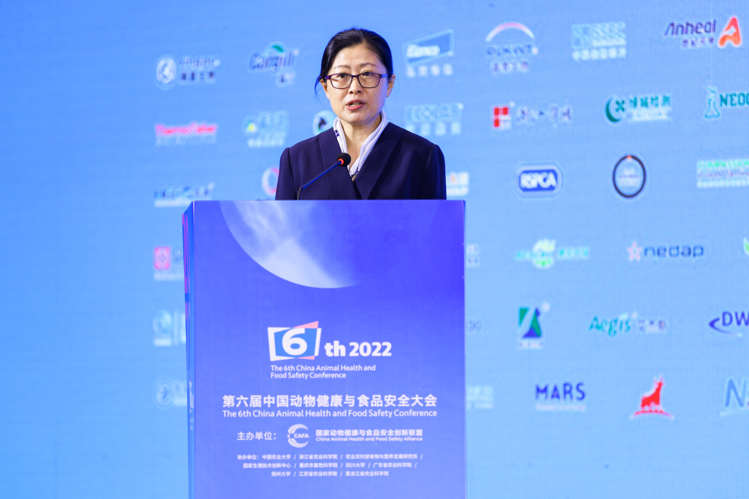 中国电子游艺网站下载安装
