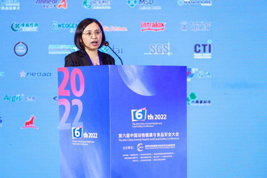 中国电子游艺网站下载安装
