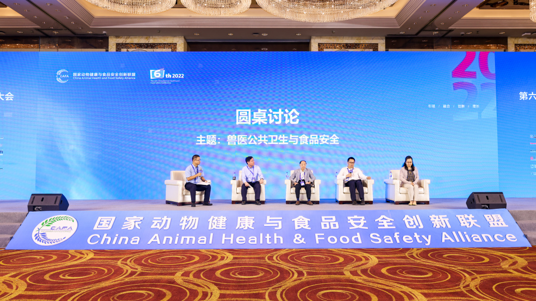 中国电子游艺网站下载安装
