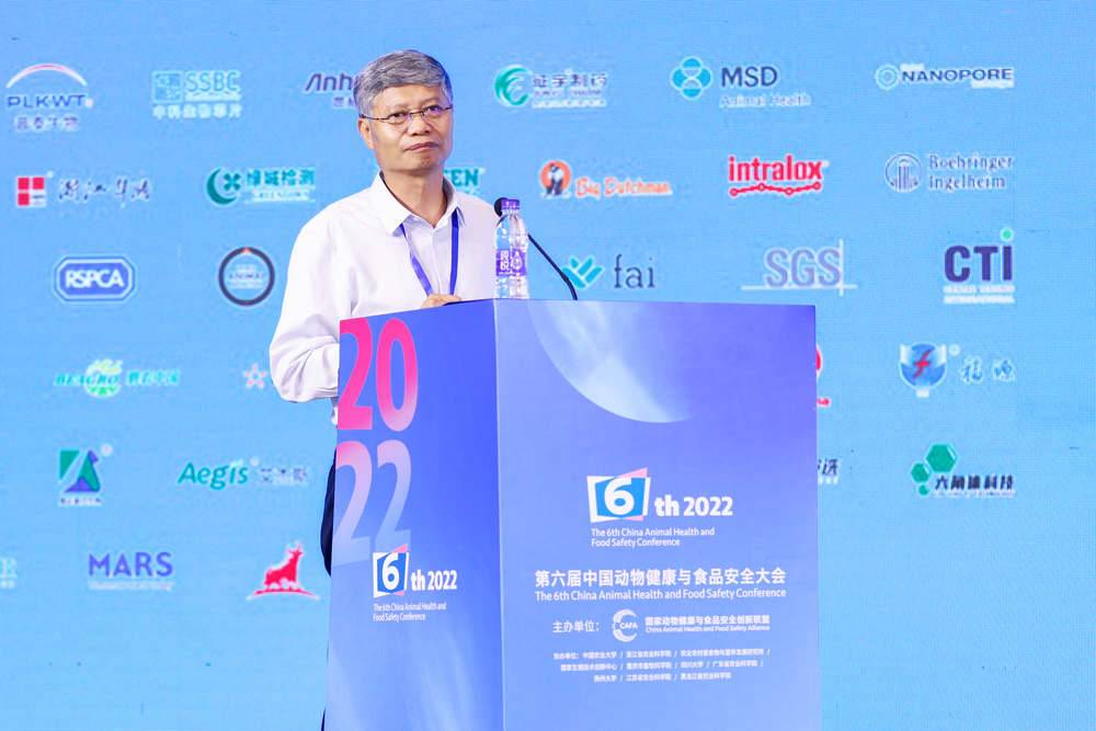 中国电子游艺网站下载安装
