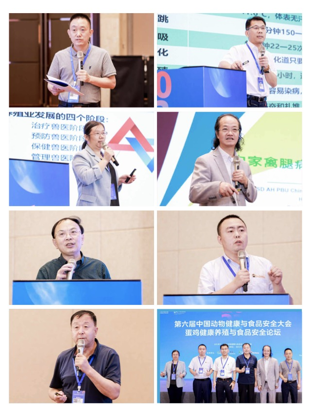 中国电子游艺网站下载安装
