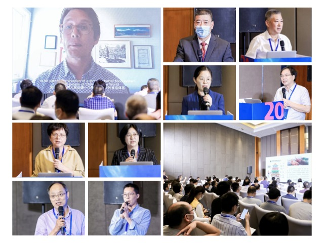 中国电子游艺网站下载安装
