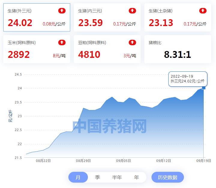 中国电子游艺网站下载安装
