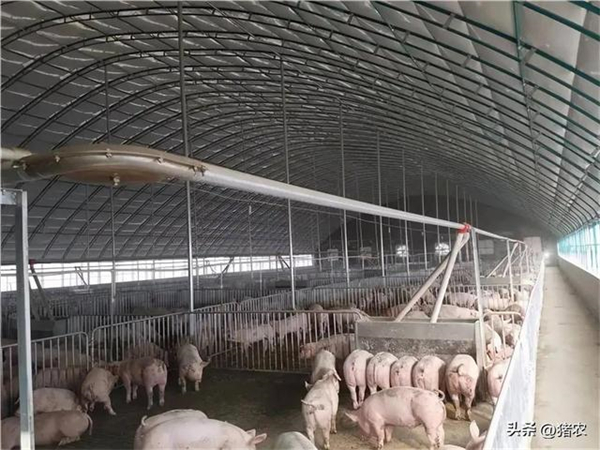 中国电子游艺网站下载安装
