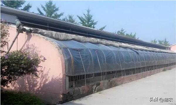 中国电子游艺网站下载安装
