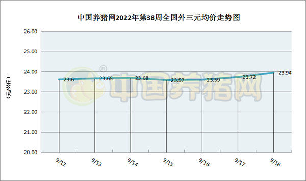 中国电子游艺网站下载安装