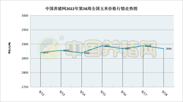 中国电子游艺网站下载安装