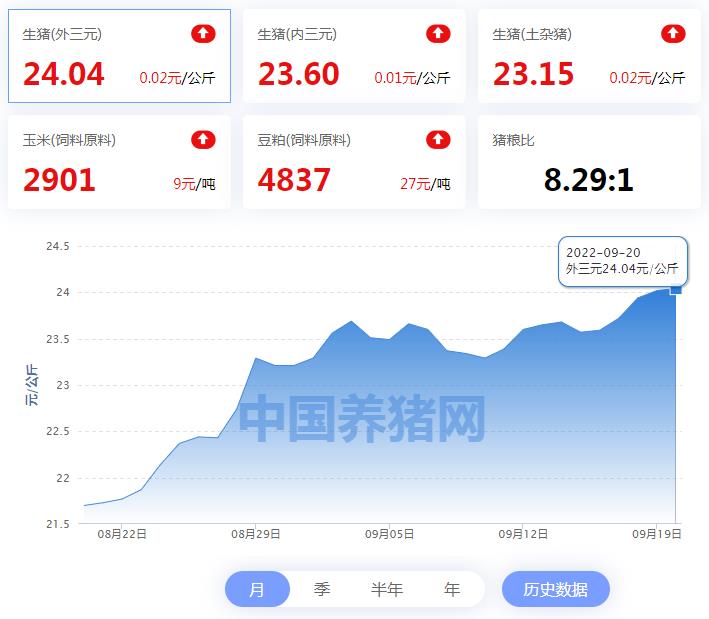 中国电子游艺网站下载安装