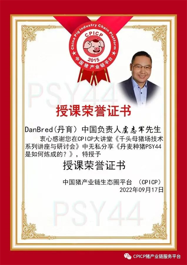 中国电子游艺网站下载安装
