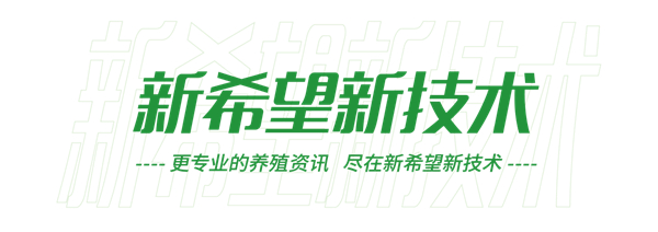 规模电子游艺网站
 | 贵州1500头育肥电子游艺网站
，新进猪只高死亡率的处理服务案例