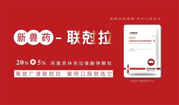 联尅拉帮电子游艺网站
“过五关、斩六将”！