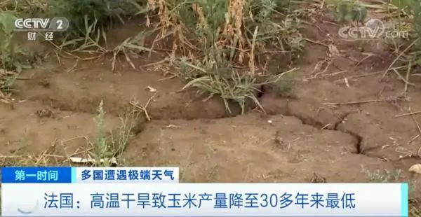 中国电子游艺网站下载安装
