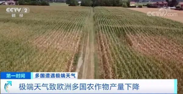 中国电子游艺网站下载安装
