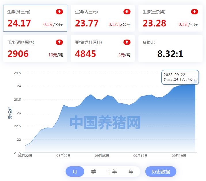 中国电子游艺网站下载安装