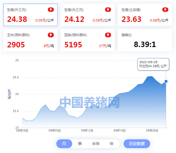 中国电子游艺网站下载安装
