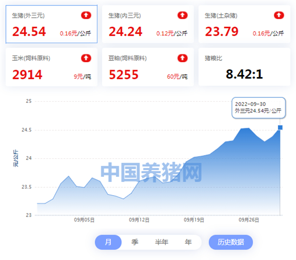 中国电子游艺网站下载安装
