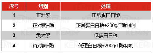 中国电子游艺网站下载安装
