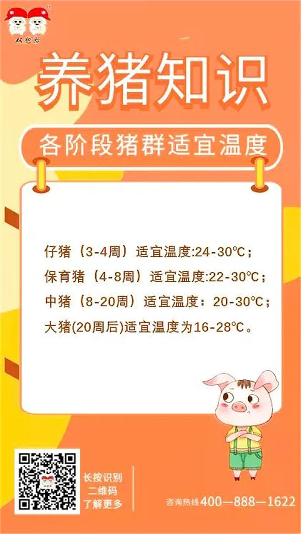 中国电子游艺网站下载安装

