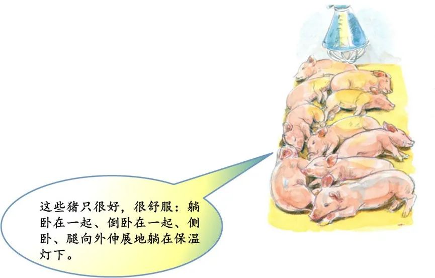 中国电子游艺网站下载安装

