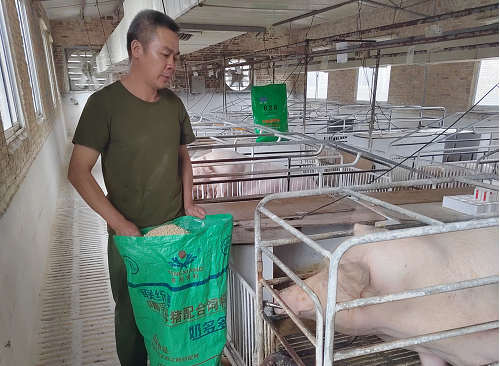 中国电子游艺网站下载安装
